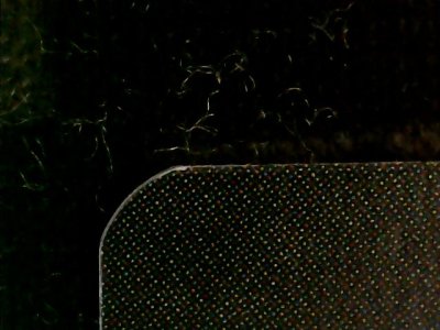SN36090