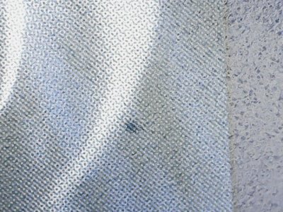 SN36113