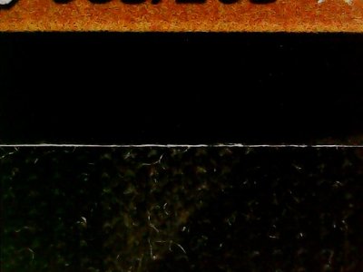 SN36117