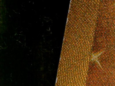 SN36151