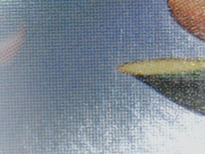 SN36255