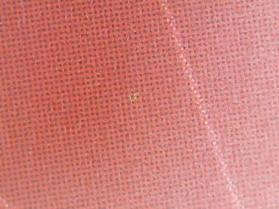 SN36261