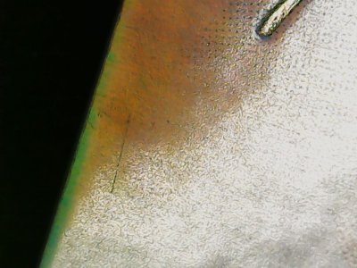 SN36233