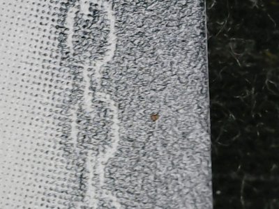 SN36233