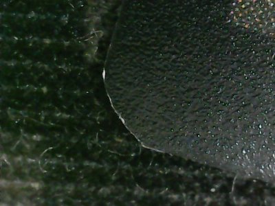 SN36236