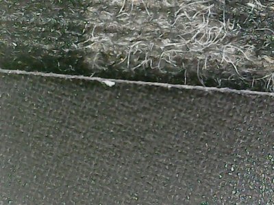 SN36248