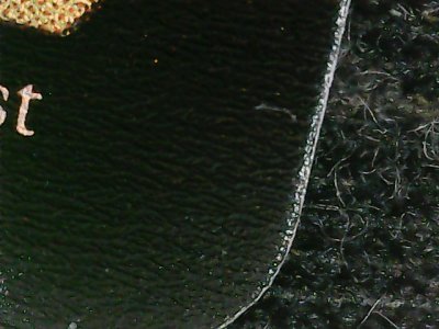 SN36250