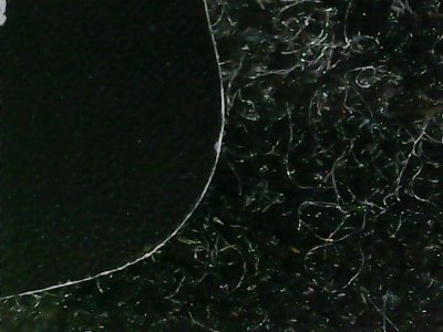 SN36253