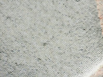 SN36201
