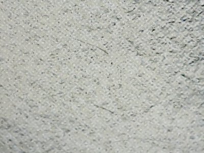 SN36201
