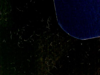 SN36207
