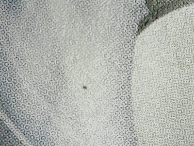 SN36272
