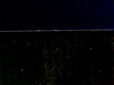 SN36277