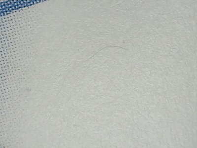 SN36278