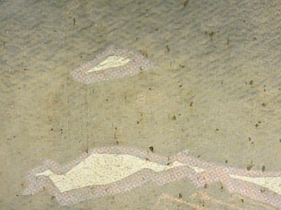 SN36283
