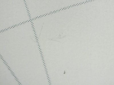 SN36338