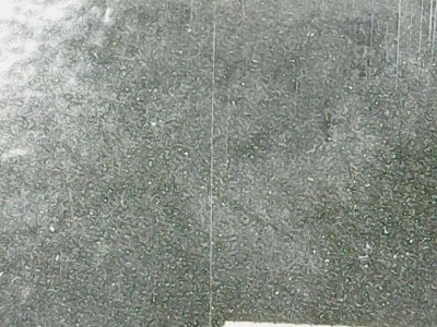 SN36343