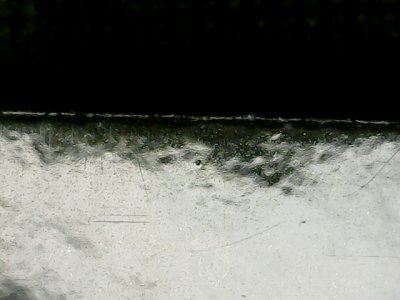 SN36343