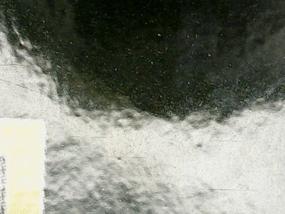 SN36343