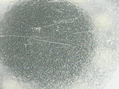 SN36344