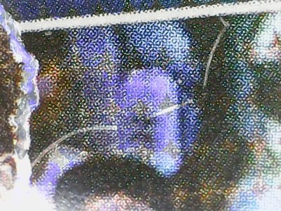 SN36347