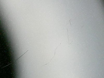 SN36348