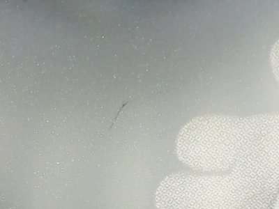 SN36348