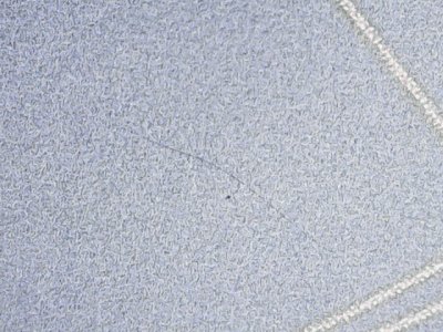SN36356