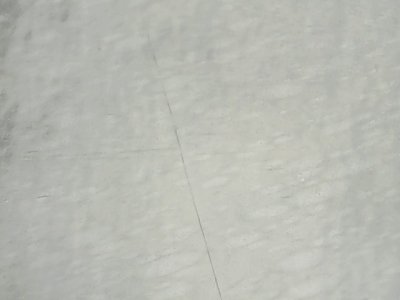 SN36364