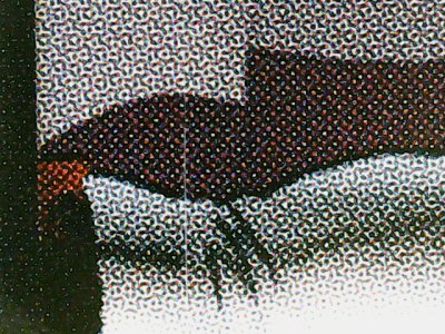 SN36369