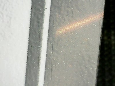 SN36369