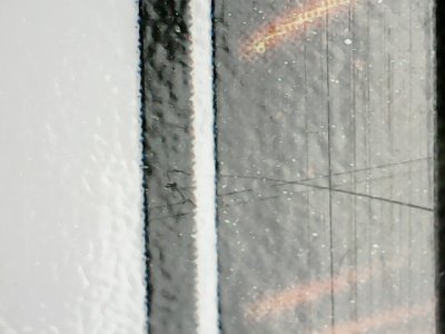 SN36370