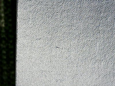 SN36377