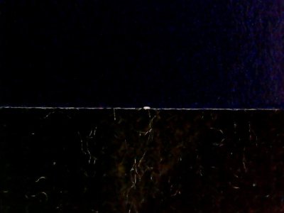 SN36439