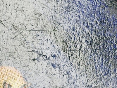 SN36446