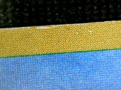 SN36446