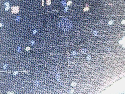 SN36446