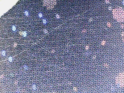 SN36446