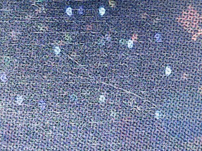 SN36446