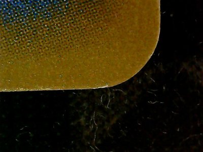 SN36503