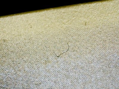 SN36504