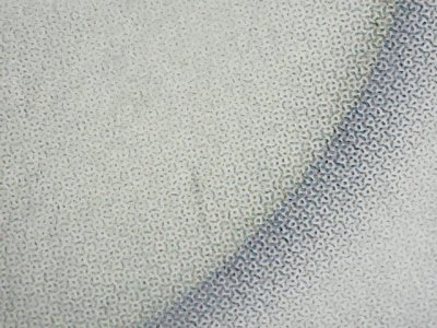 SN36555