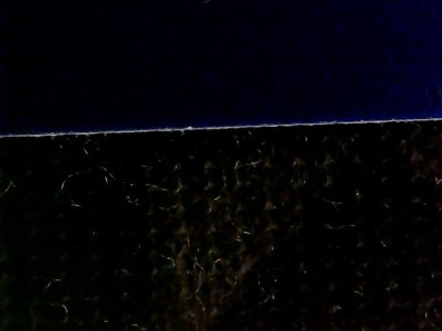 SN36567