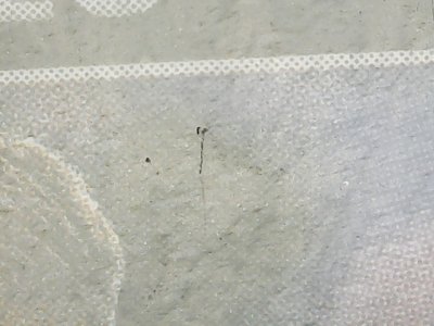 SN36596
