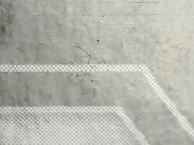 SN36596