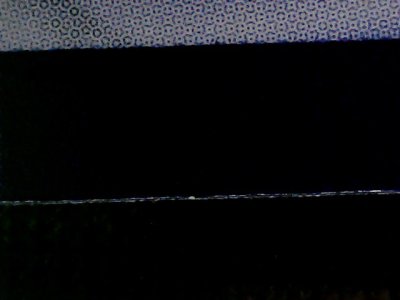SN36646