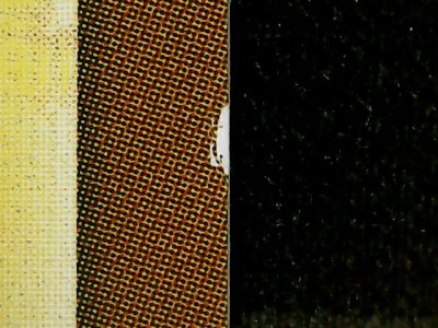 SN36651