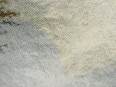 SN36687