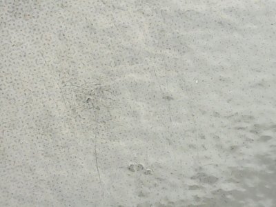 SN36687