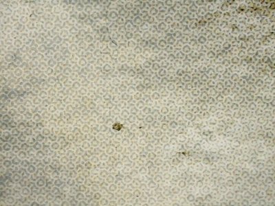 SN36687